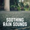 Download track It's Raining Outside, Pt. 19