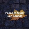 Download track Entice Rain