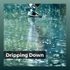 Download track Essentials