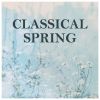 Download track Schubert: Frühlingsglaube, D. 686