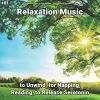 Download track Calming Ambient Soundscapes For A Relaxing Atmosphere