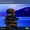 Download track Balancing Act Continuous Yoga Flow (Yoga Mix)