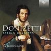 Download track String Quartet No. 17 In D Major: II. Larghetto