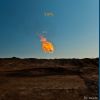 Download track As Long As She Is Alive