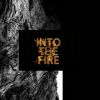 Download track Into The Fire