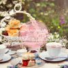 Download track The Ballad Of A High Class Meet