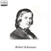 Download track Symphony No. 4 In D Minor, Op. 120, 1894 Version' I. Andante Con Moto - Allegro Di Molto