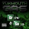 Download track Rollin