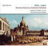 Download track 14. Concerto In D Minor Marcello BWV 974 - III. Presto