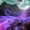Download track Seeds Of Freedom