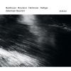 Download track Streichquartett Nr. 2 - 1. Langsam - Äußerst Lebhaft Und Sehr Energisch