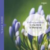 Download track Koncert Za Fagot, Godala In Tolkala Tempo Di Valse