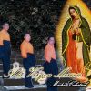 Download track El Angel Vino