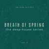 Download track Introspector (Original Mix)