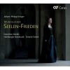 Download track 6. Sonata Quarta A Doi F-Dur Op. II Für Violine Viola Da Gamba Und Basso Continuo - 1. Arioso