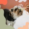 Download track Background For Restless Puppies