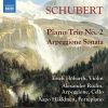 Download track Arpeggione Sonata In A Minor, D. 821 - I. Allegro Moderato
