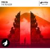 Download track The Reader