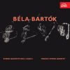 Download track String Quartet No. 5 In B-Flat Major, Sz. 102- I. Allegro