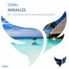 Download track Miracles (Alex Shevchenko Remix)