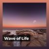 Download track Translucent