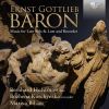 Download track Concerto For Lute And Recorder In D Minor IV. Gigue