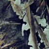 Download track Untitled 10