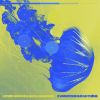Download track Variation 3