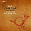 Download track Mozart - Serenade No. 9 In D Major, K. 320 Posthorn - IV. Rondeau. Allegro Ma Non Troppo