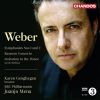 Download track Concerto For Bassoon And Orchestra- Op 75- J 127 - Adagio