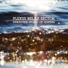 Download track The Secret Of Emerald Forest