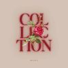 Download track Collection