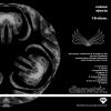 Download track Amygdala