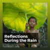 Download track Rainfall Reversed