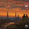 Download track Concerto For Pan Flute And Organ In D Major, BWV 972 III. Allegro Assai'