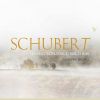 Download track Piano Sonata In A Minor, Op. 42, D. 845: IV. Rondo. Allegro Vivace