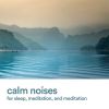 Download track Dreams Of White Noise Sound