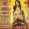Download track The Diary Of One Who Disappeared, JW V 12 No. 12, Darkness Neath The Trees, Coolness By The Spring