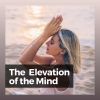 Download track Peace And Relaxation, Pt. 3