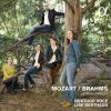 Download track 7. Brahms: String Quintet No. 2 In G Major Op. 111 - III. Un Poco Allegretto
