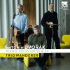 Download track Piano Trio No. 4 In E Minor, Op. 90 Dumky I. Lento Maestoso-Allegro Quasi Doppio Movimento