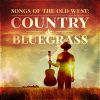 Download track All The Pretty Little Horses (Live At The Recording Studio)