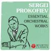 Download track Symphony No. 3 In C Minor, Op. 44: I. Moderato