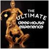 Download track Firebird (Radio Edit)