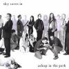 Download track Sky Caves In