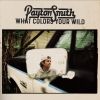 Download track Chasing The Wind (Unplugged)