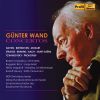 Download track Violin Concerto No. 3 In B Minor, Op. 61 II. Andantino Quasi Allegretto