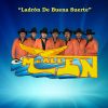 Download track Los Pelicanos Mojados