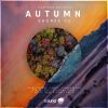 Download track Autumn Evening (Original Mix)