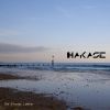 Download track Falling Grace